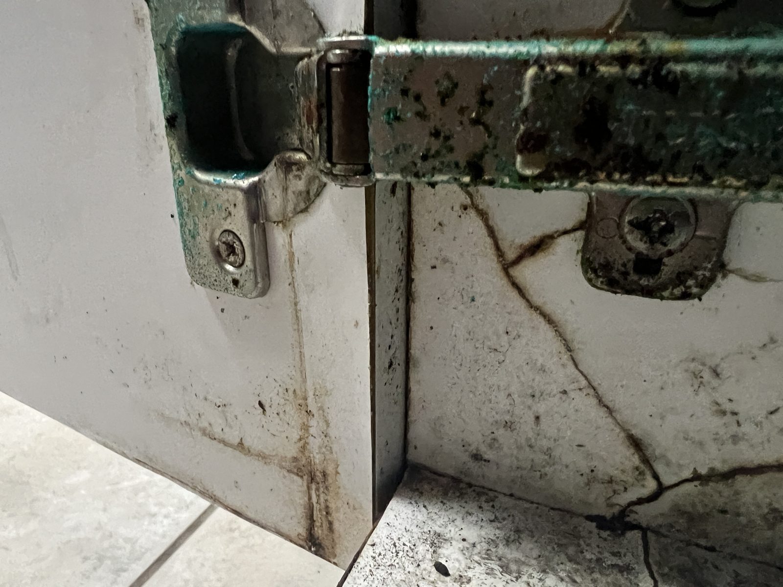 Before: rusted hinges and cracked, water-damaged sink base cabinet