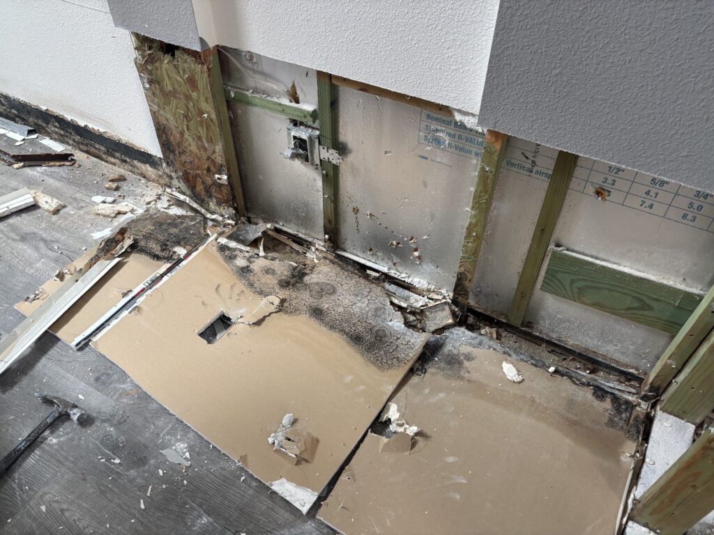 Wall cavity opened to reveal mold on drywall backing and framing
