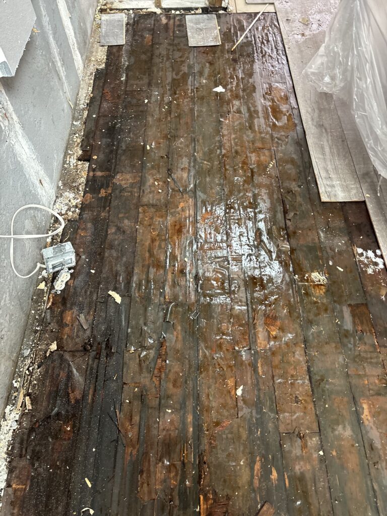 Mold and water staining on the subfloor under removed flooring